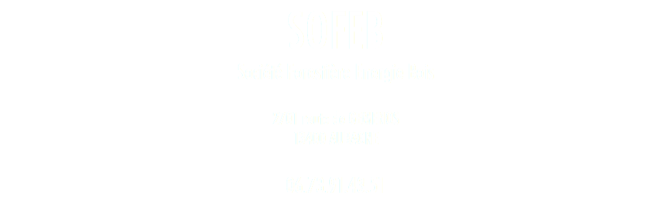 SOFEB Société Forestière Energie Bois 2701 route de GEMENOS 13400 AUBAGNE  06.73.91.43.51